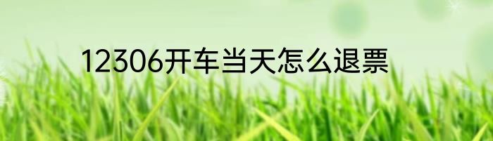 12306开车当天怎么退票