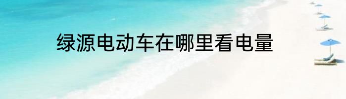 绿源电动车在哪里看电量