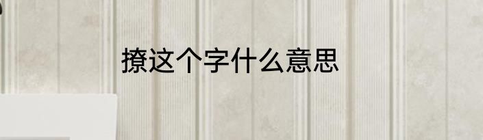 撩这个字什么意思