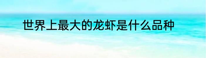 世界上最大的龙虾是什么品种