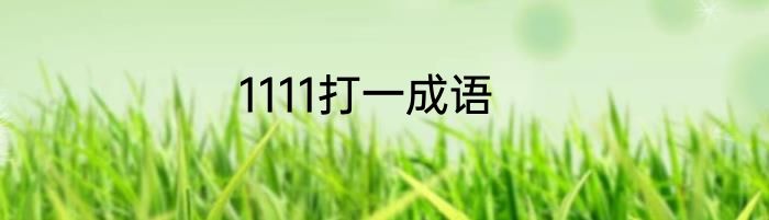 1111打一成语