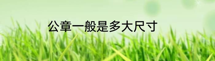 公章一般是多大尺寸