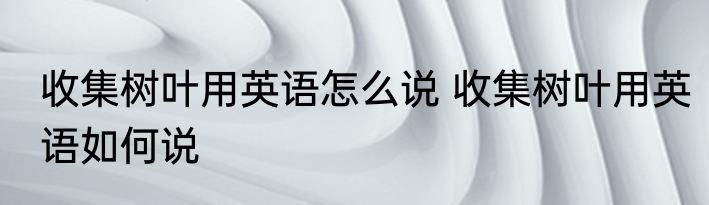 收集树叶用英语怎么说 收集树叶用英语如何说