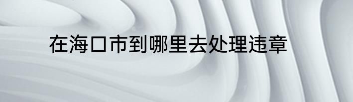 在海口市到哪里去处理违章