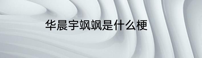 华晨宇飒飒是什么梗