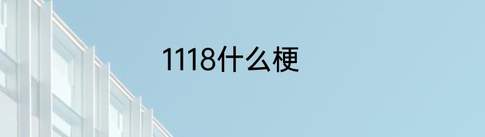 1118什么梗