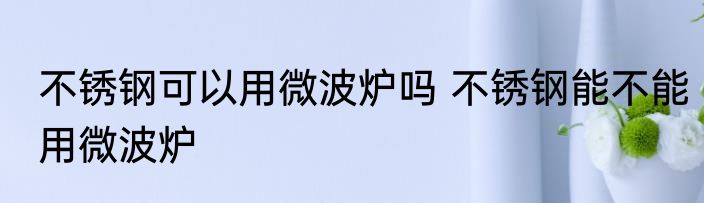 不锈钢可以用微波炉吗 不锈钢能不能用微波炉
