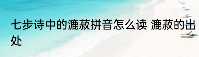 七步诗中的漉菽拼音怎么读 漉菽的出处