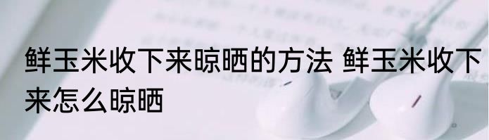 鲜玉米收下来晾晒的方法 鲜玉米收下来怎么晾晒
