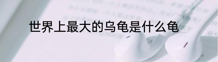 世界上最大的乌龟是什么龟