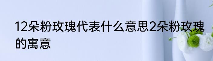 12朵粉玫瑰代表什么意思2朵粉玫瑰的寓意