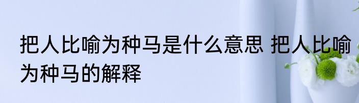 把人比喻为种马是什么意思 把人比喻为种马的解释