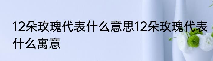 12朵玫瑰代表什么意思12朵玫瑰代表什么寓意