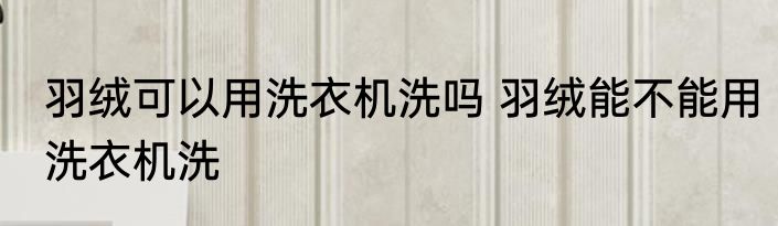 羽绒可以用洗衣机洗吗 羽绒能不能用洗衣机洗