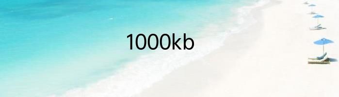 1000kb