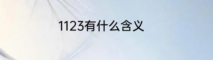 1123有什么含义