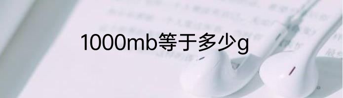 1000mb等于多少g