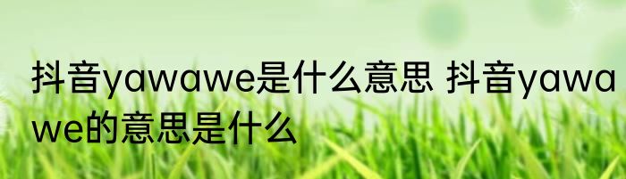 抖音yawawe是什么意思 抖音yawawe的意思是什么