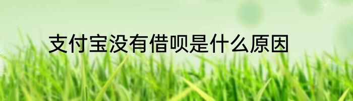支付宝没有借呗是什么原因