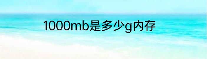 1000mb是多少g内存