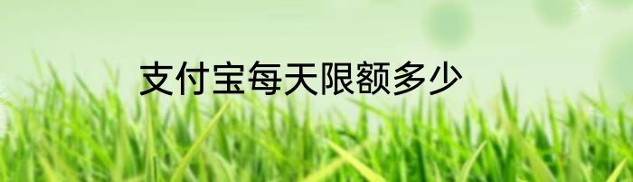 支付宝每天限额多少