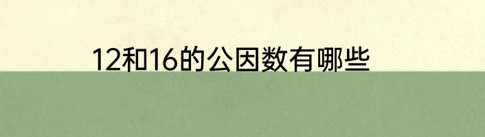 12和16的公因数有哪些