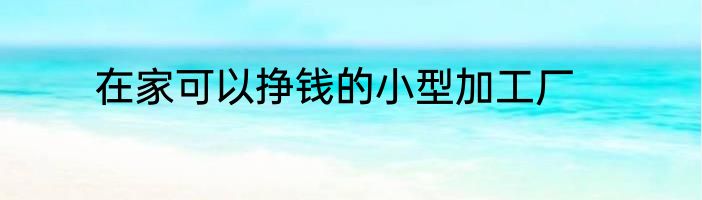 在家可以挣钱的小型加工厂