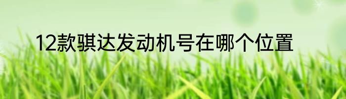 12款骐达发动机号在哪个位置