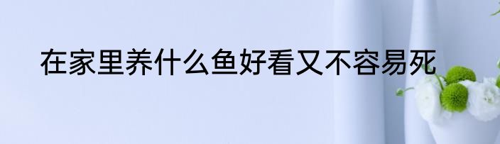 在家里养什么鱼好看又不容易死