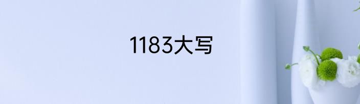 1183大写