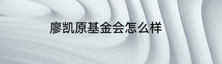廖凯原基金会怎么样