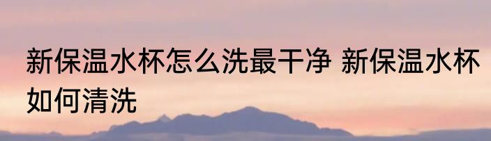 新保温水杯怎么洗最干净 新保温水杯如何清洗