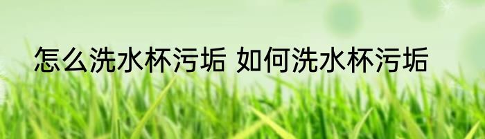 怎么洗水杯污垢 如何洗水杯污垢