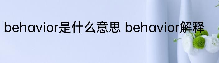 behavior是什么意思 behavior解释