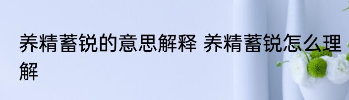 养精蓄锐的意思解释 养精蓄锐怎么理解