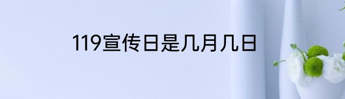 119宣传日是几月几日