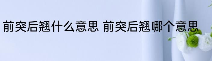 前突后翘什么意思 前突后翘哪个意思