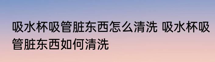 吸水杯吸管脏东西怎么清洗 吸水杯吸管脏东西如何清洗