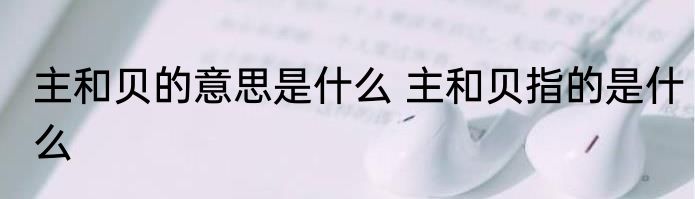 主和贝的意思是什么 主和贝指的是什么