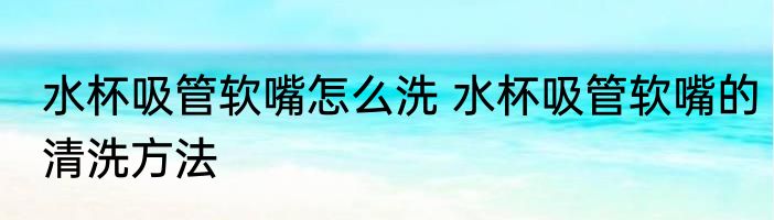 水杯吸管软嘴怎么洗 水杯吸管软嘴的清洗方法