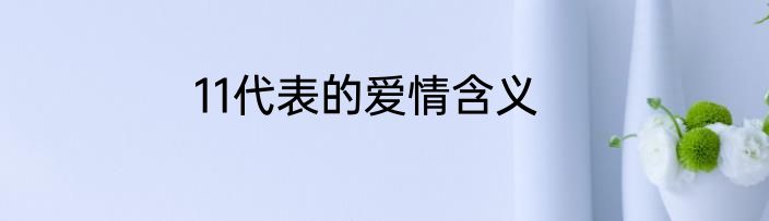 11代表的爱情含义