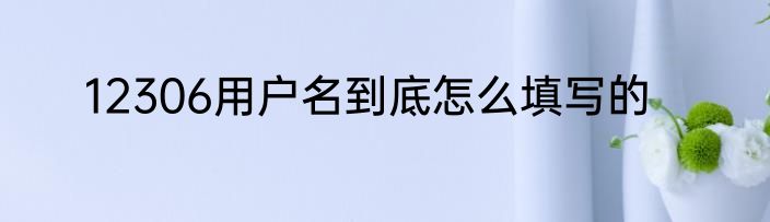 12306用户名到底怎么填写的