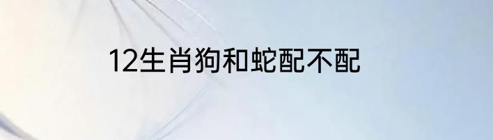 12生肖狗和蛇配不配