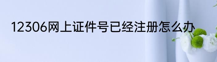 12306网上证件号已经注册怎么办