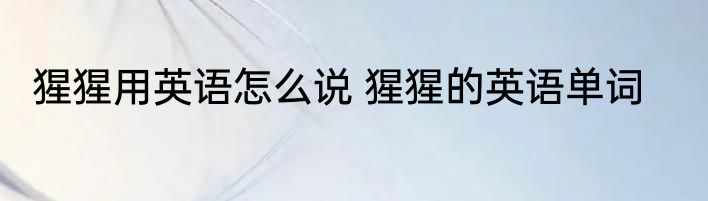 猩猩用英语怎么说 猩猩的英语单词