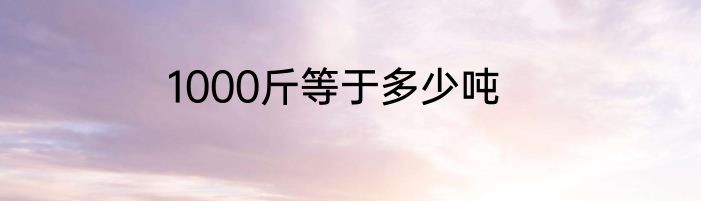 1000斤等于多少吨