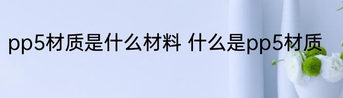 pp5材质是什么材料 什么是pp5材质