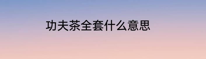 功夫茶全套什么意思