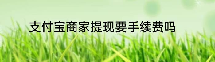 支付宝商家提现要手续费吗