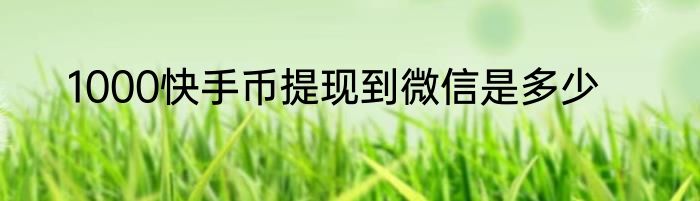 1000快手币提现到微信是多少